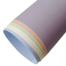 픽딜 다용도 색종이 모란디 A4 210 x 297 mm 5종 x 20p 세트 80g, 1세트, 5색