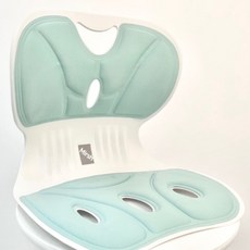 Mirsh 바른자세 등받이 자세보정 의자 라지, 그린