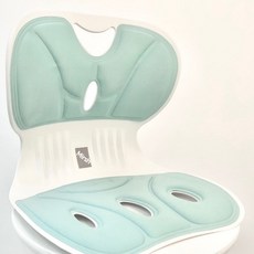 Mirsh 바른자세 등받이 자세보정 의자 미디움, 그린