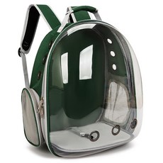 Allincell 寵物時尚外出提籠, 綠色, 1個