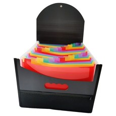 Pocket Master A4手提風琴夾 彩虹內頁 25格 網格文件收納整理盒, 黑色, 1個