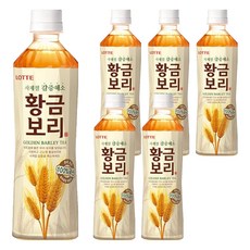 LOTTE 樂天 CHILSUNG BEVERAGE 樂天今日的茶 黃金大麥, 500ml, 6個