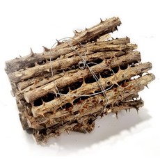 인차 가시 엄나무, 400g, 1개