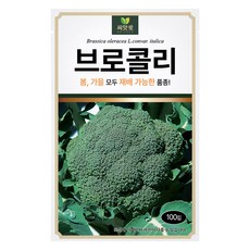 다농 씨앗애 브로콜리 씨앗 100립, 1개