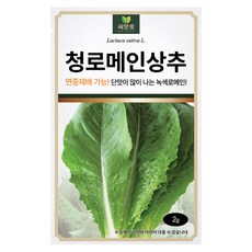 다농 씨앗애 청 로메인 상추 씨앗 2g, 1개