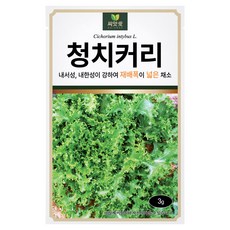 다농 씨앗애 청치커리 씨앗 3g, 1개 1개