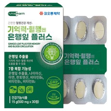코오롱제약 기억력 혈행엔 은행잎 플러스, 30정, 1개