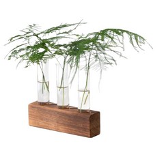 조인메이드 원목받침 수경재배 꽃병 실린더 세트, 혼합색상