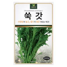 다농 씨앗애 쑥갓 씨앗 5000p, 1개