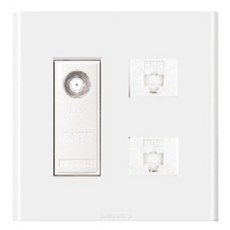 winners Winner複合型模組 CATV/8P+8P, 1個