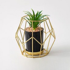 Joinmade 多肉植物花盆支架裝飾 Crystal, 1個, 金色