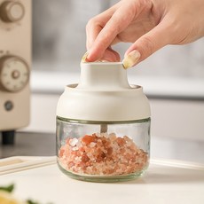 3WELL 勺蓋一體調味瓶 定量控鹽調味罐 250ml, 1個