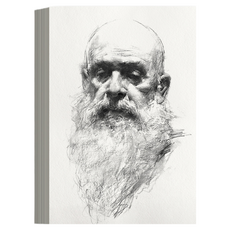 데일리온 고급 도화지 8K 120g, 20개