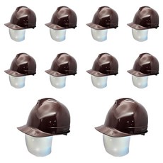 DONGMYUNG 高級型頭盔式一般鏡片銀色護目安全帽, 10個, 棕色