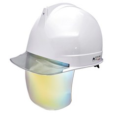 DONGMYUNG 高級頭盔式透明窗金色護目鏡安全帽, 1個, 白色