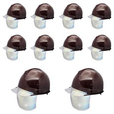 DONGMYUNG 護目鏡頭盔型透明窗 銀色護面 安全帽, 10個, 棕色