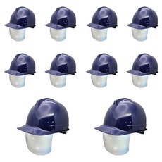 DONGMYUNG 高級型頭盔式一般鏡片銀色護目安全帽, 10個, 深藍色