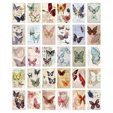 알로데 야광나비 포스터 30종 세트 N0 01 나비