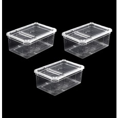 Green Hug 爬蟲類飼養籠 半透明, 3個, 單一顏色