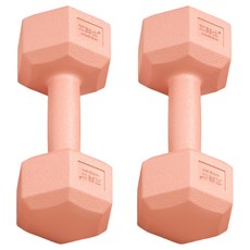 艾美仕 居家健身啞鈴 橘粉色, 1.03kg, 2個