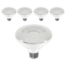 VO LED 戶外防水 PAR30 聚光型燈泡 15W 白色, 晝白色, 5個