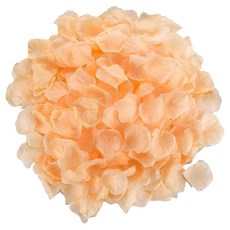Khohimo 派對活動用人造玫瑰花瓣 1000p 組 5W0339, 1套, 香檳色