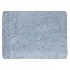 Craftsman In Storage 收納職人 現代簡約輕奢北歐風加厚羊羔絨地毯