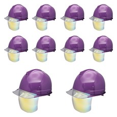 동명 고급형 투구형 투명창 골드보안경 안전모, 퍼플, 10개