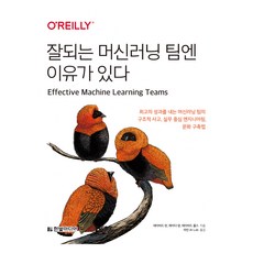 HanbitMedia 成功的機器學習團隊自有其道：創造最佳成果的機器學習團隊的結構性思維 實務導向工程 文化建立方法, 大衛·譚, 艾達·楊, 大衛·科爾斯