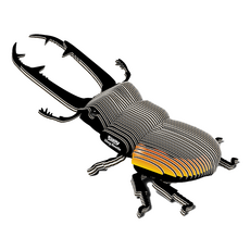 EuGy 3D立體紙拼圖, 7張, 鰍形蟲, 1盒