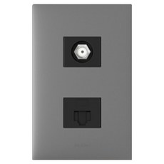 Legrand 羅格朗 Apella 鎂 Simple TV 網路嵌入式模組 CATV 1個用 2路 + 8p, 1個