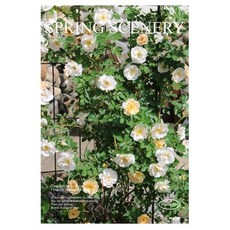 Homeflow GREENERY 感性海報 07