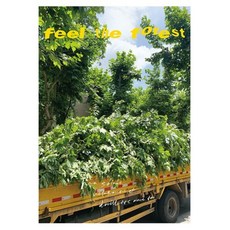 Homeflow FOREST 感性海報 02