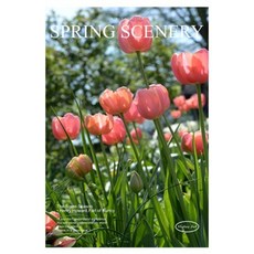 더플로우커머스 GREENERY 감성 포스터 01