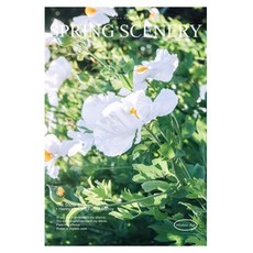 더플로우커머스 GREENERY 감성 포스터 03