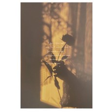 Homeflow VINTAGE FILM 感性海報 08