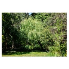 Homeflow NATURAL CALMING 感性海報 08