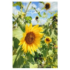 Homeflow NATURAL SUMMER 感性海報 04
