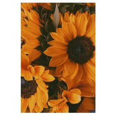 Homeflow VINTAGE FILM 感性海報 07