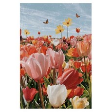 Homeflow NATURAL CALMING 感性海報 10