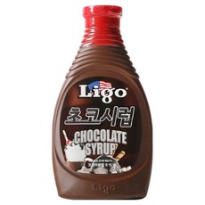 리고 초코시럽, 585g, 1개