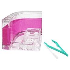 AQUAB 螞蟻飼養透明飼養箱, 1個, 粉紅色