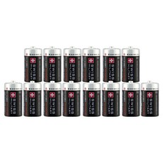 스위스밀리터리 망간 C형, 2개입, 7개