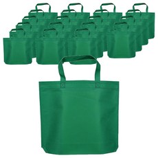 아이엔피 부직포 핸드 쇼핑백, 그린, 20개