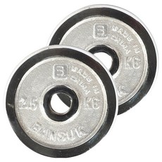 반석스포츠 크롬 도금 바벨, 2.5kg, 2개, 실버