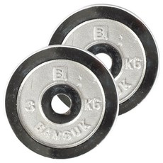 반석스포츠 크롬 도금 바벨, 3kg, 2개, 실버