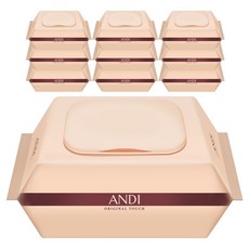 안디 저자극 도톰한 오리지널 터치 아기물티슈 캡형, 10개, 100매, 50g
