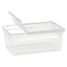 레몽크리프 도마뱀 사육장 적재함 ONE SIZE(19 x 12.5 x 7.5 cm), 투명, 1개