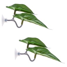 레몽크리프 몬스테라 극락조 베타침대, 2개