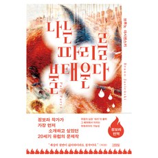 나는 파리를 불태운다, 김영사, 브루노 야시엔스키